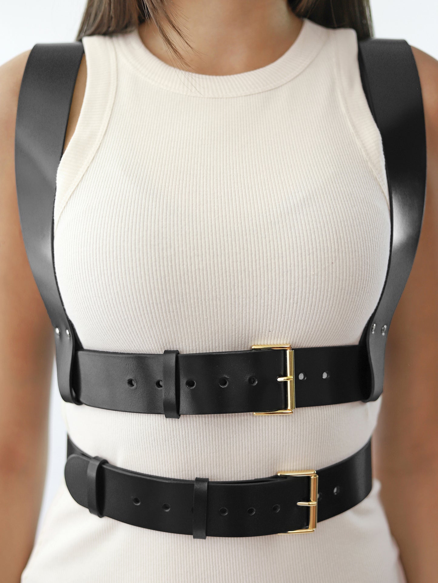 Front view of leather cage harness.